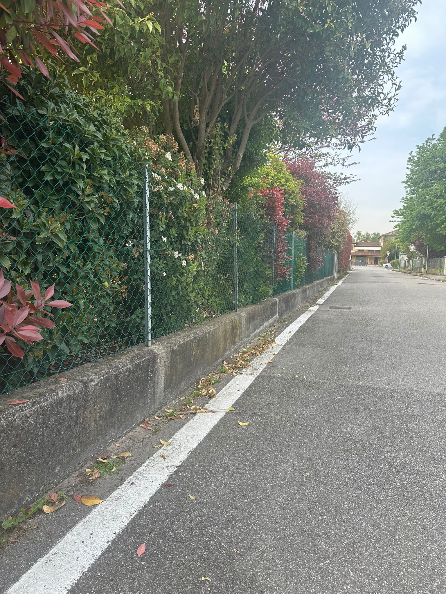 Muretto prima della pulizia